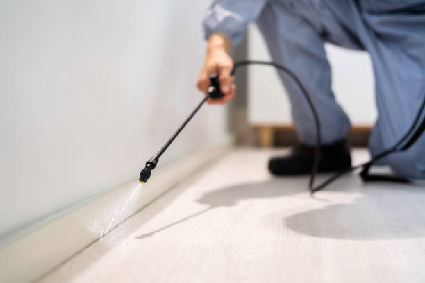 Certified termite inspector examining foundation in Three Lakes