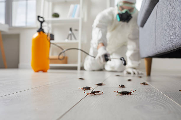 Post-Treatment Bed Bug Interceptor Monitoring in Three Lakes