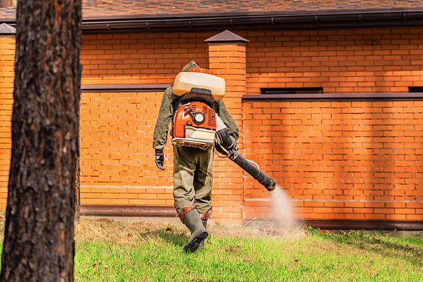 Bed Bug Clearance Verification and Documentation in Three Lakes
